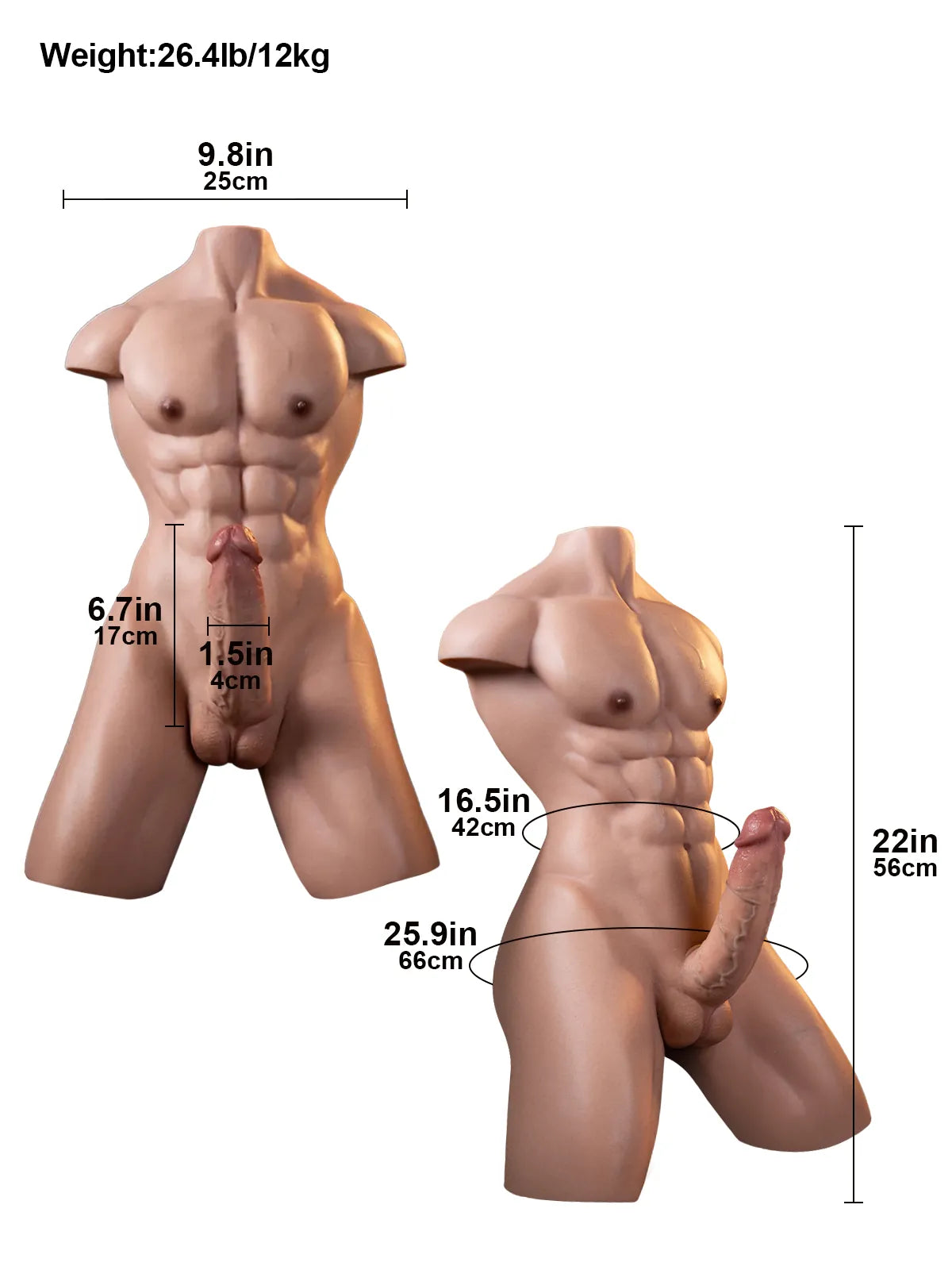 Lucas | 26.5LB Premium Silicone Muscular Male Sex Torso with 6.7" Realistic Dildo