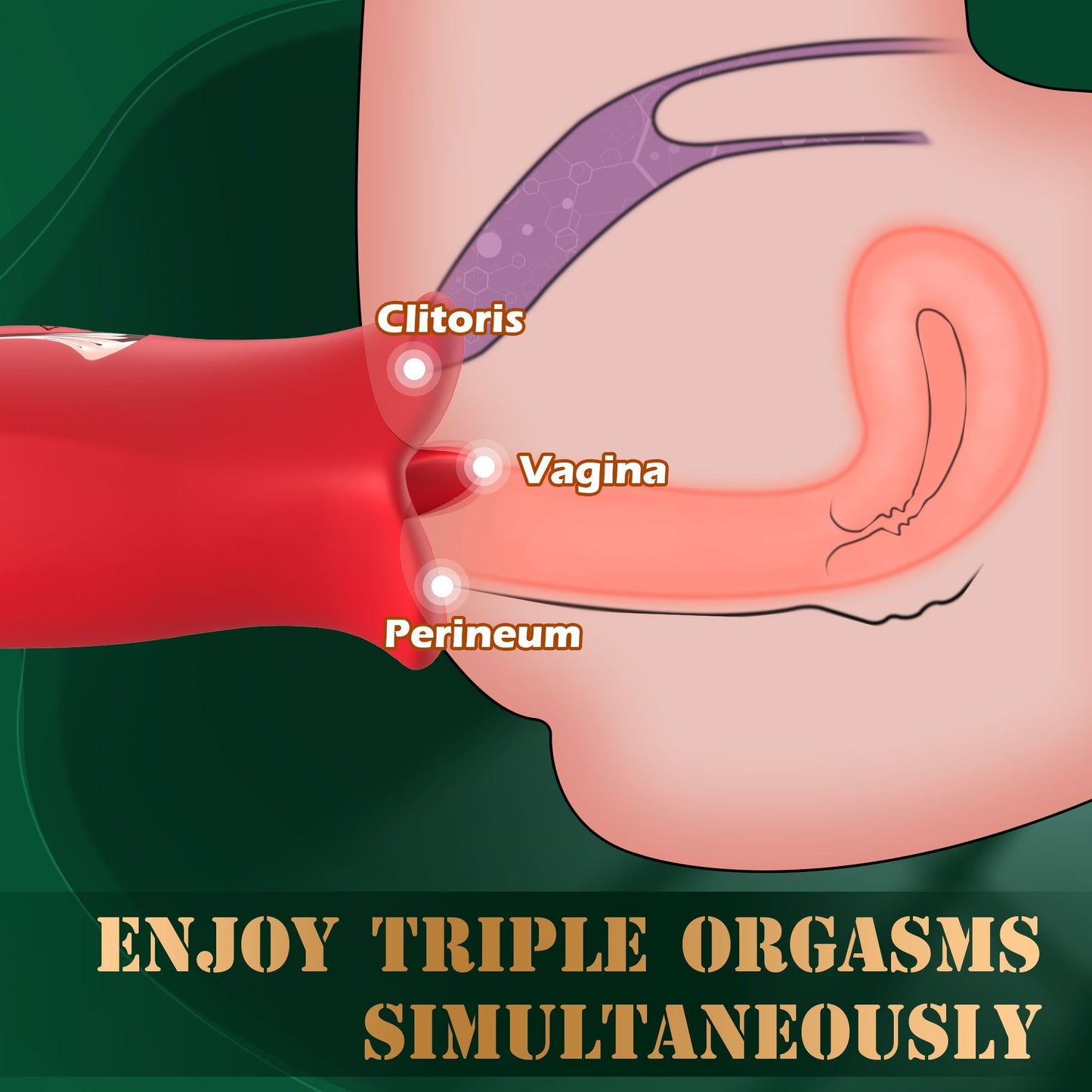 Kissing Vibrator with Vibrating Tongue