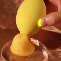 Lemon Toy
